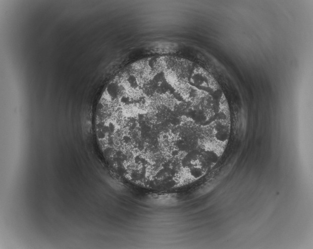 X0000111830553200909031515