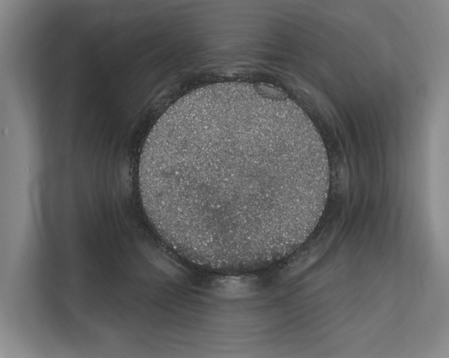 X0000111830558200909031515
