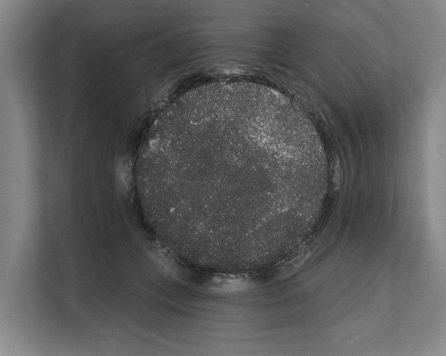 X0000111830559200909031515