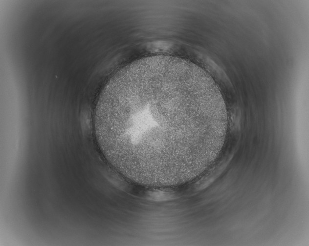 X0000111830561200909031516