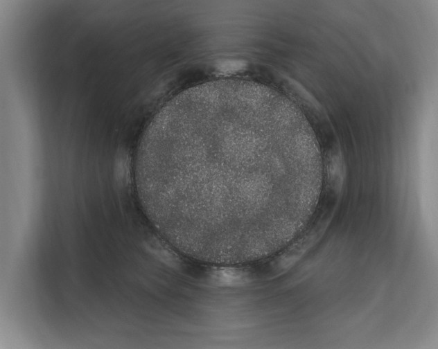 X0000111830565200909031516