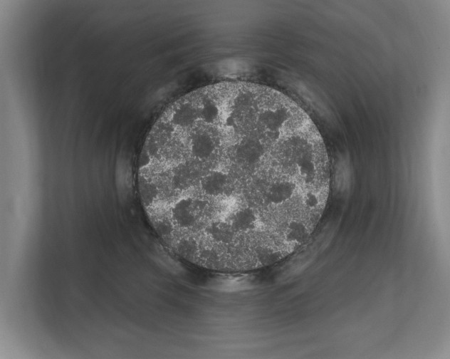 X0000111830569200909031516