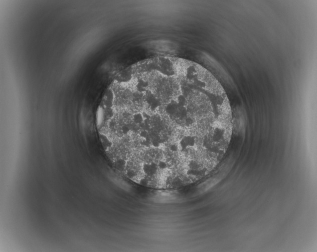 X0000111830573200909031516