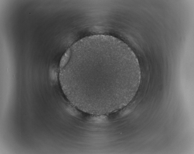 X0000111830576200909031516