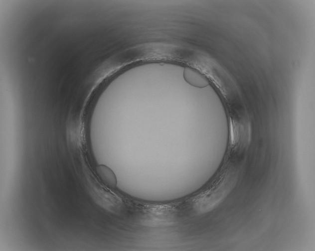 X0000111830579200909031515