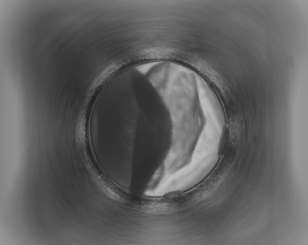 X0000111830581200909031515
