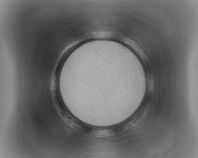 X0000111830583200909031515