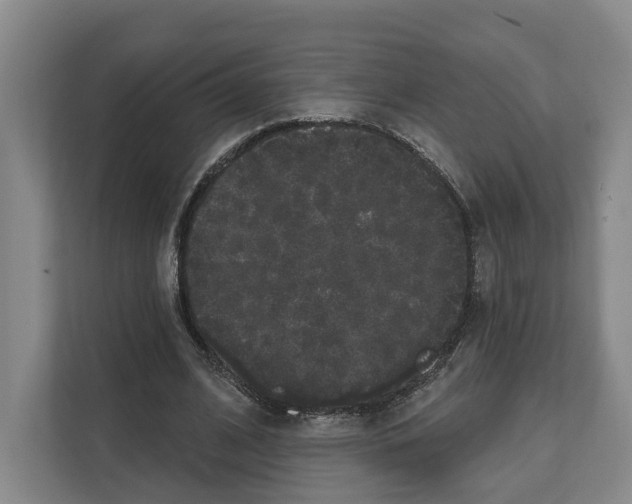 X0000111830584200909031515