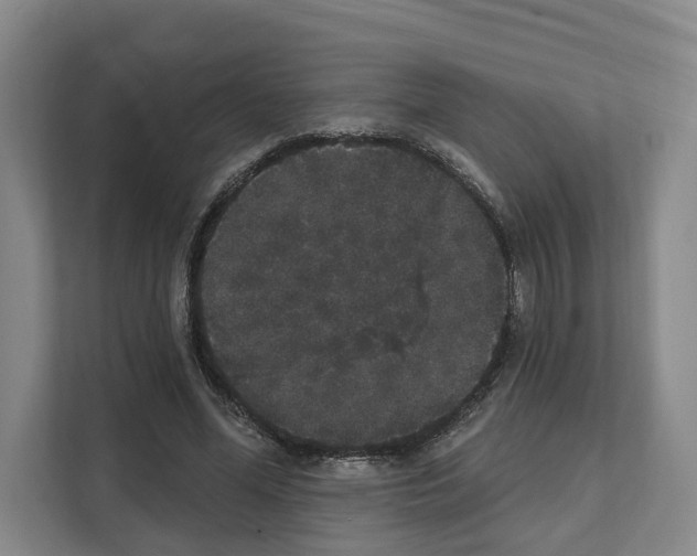 X0000111830588200909031515