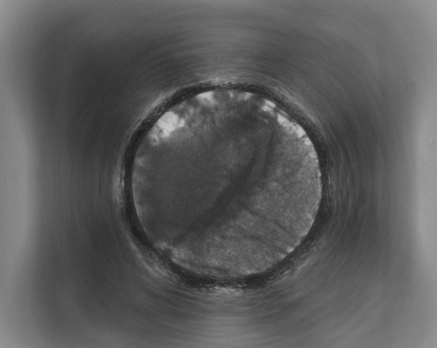 X0000111830592200909031515