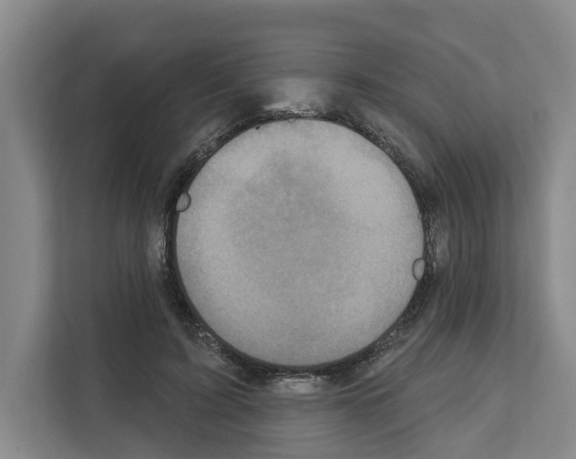 X0000111830595200909031515