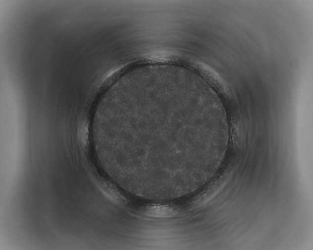 X0000111830596200909031515