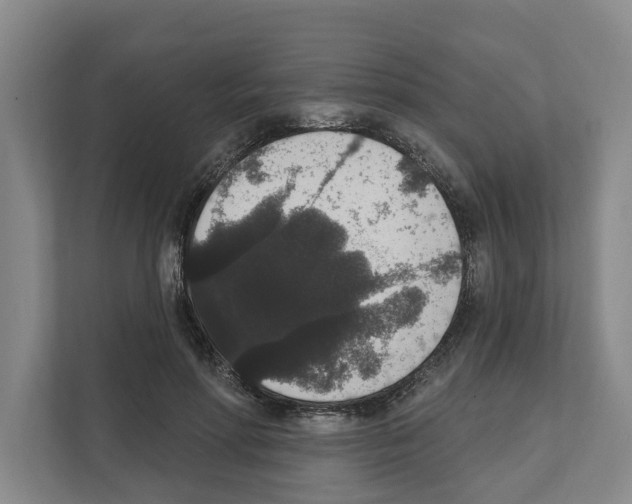 X0000111830598200909031515
