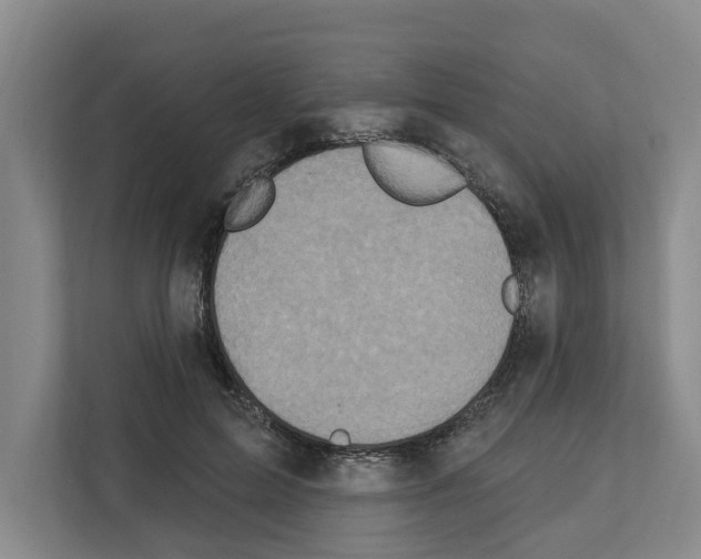 X0000111830599200909031515