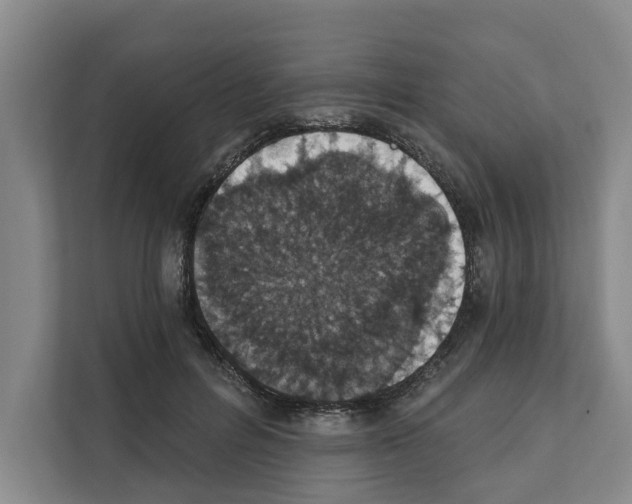X0000111830600200909031515