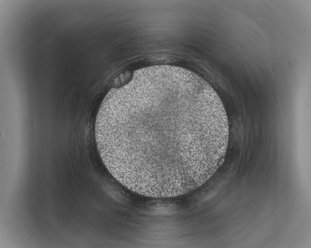 X0000111830601200909031515
