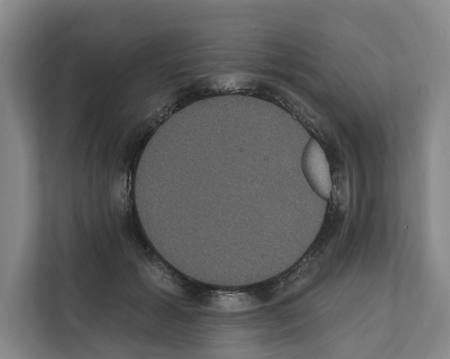 X0000111830605200909031515