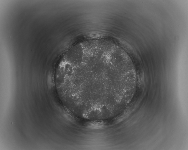 X0000111830606200909031515