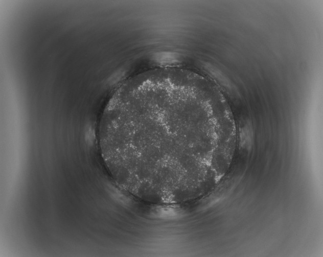 X0000111830618200909031515