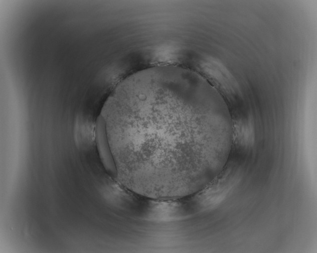 X0000111830621200909031515