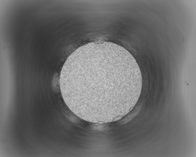 X0000111830624200909031514