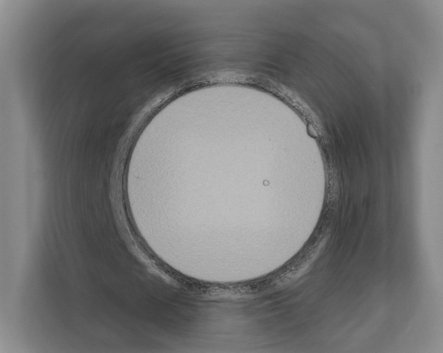 X0000111830625200909031514