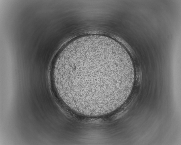X0000111830626200909031514