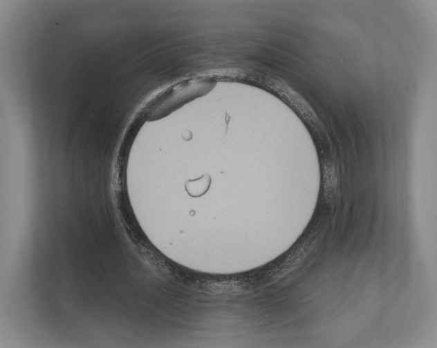 X0000111830628200909031514