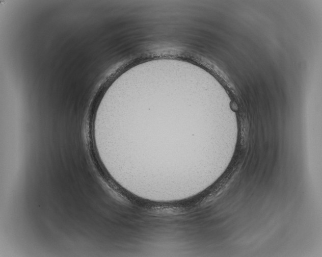 X0000111830629200909031514