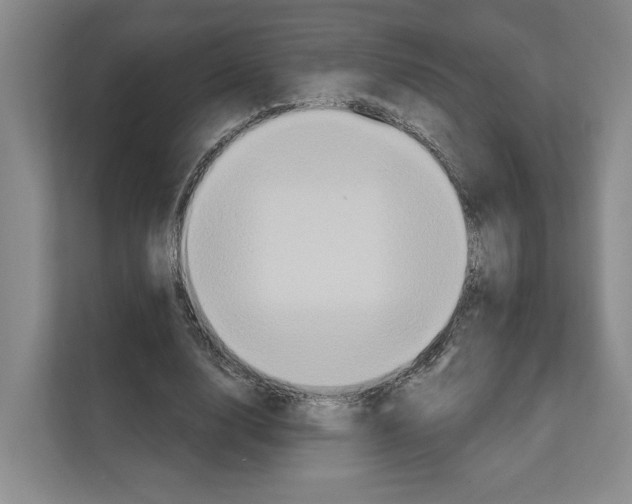 X0000111830632200909031514
