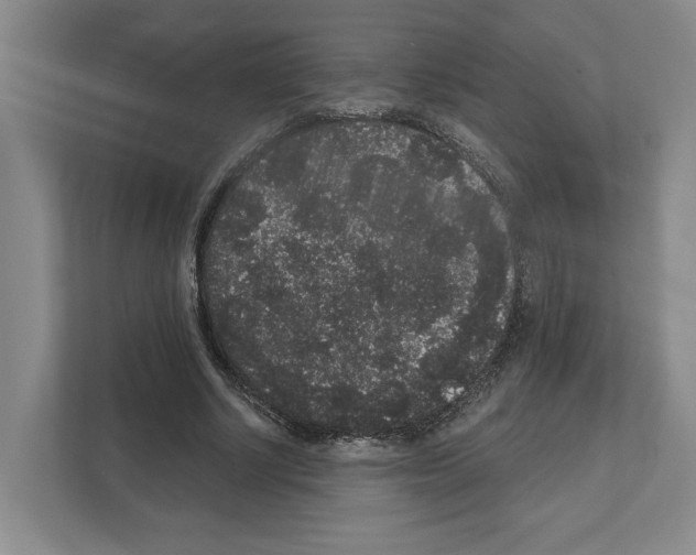 X0000111830634200909031514
