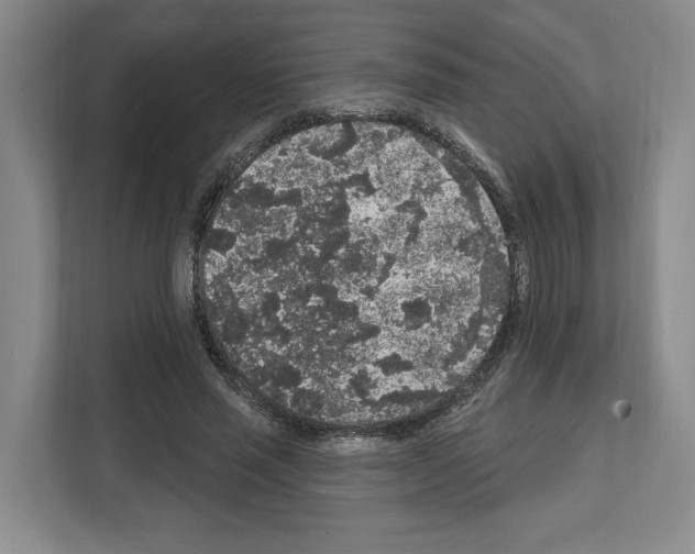 X0000111830637200909031514