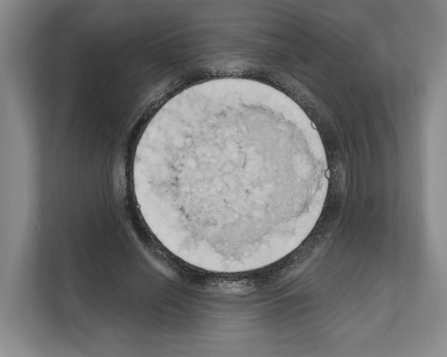 X0000111830638200909031514