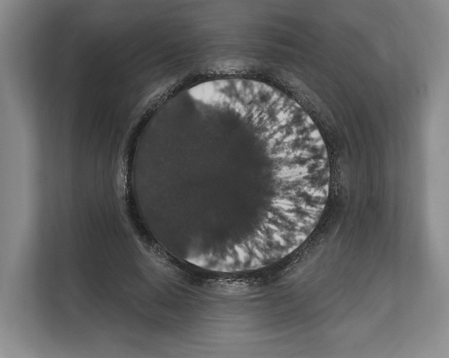 X0000111830640200909031514
