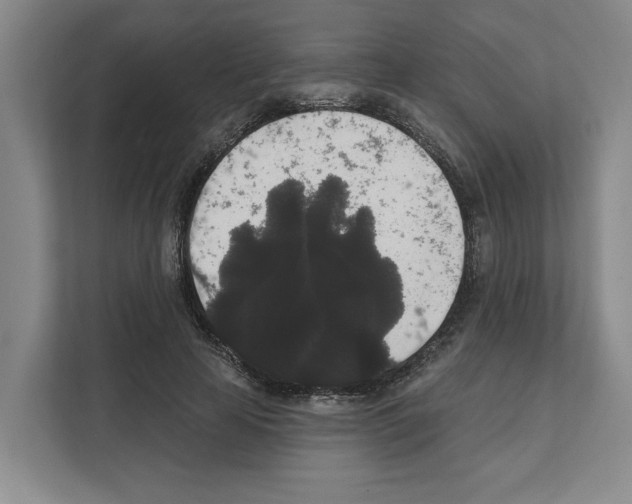 X0000111830641200909031514
