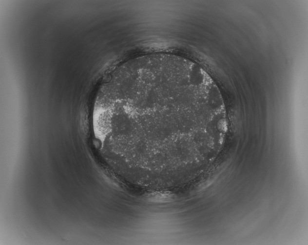X0000111830642200909031514