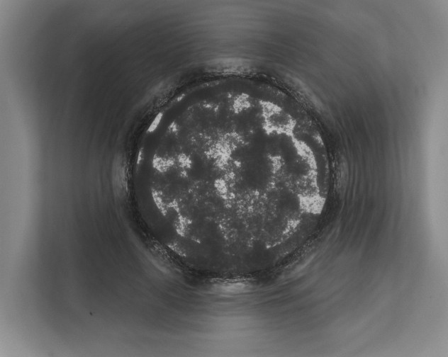 X0000111830643200909031514