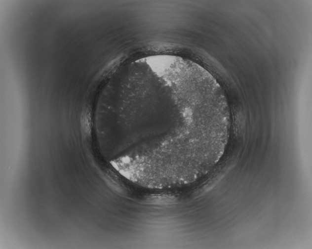X0000111830644200909031514