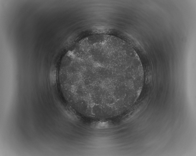 X0000111830647200909031514