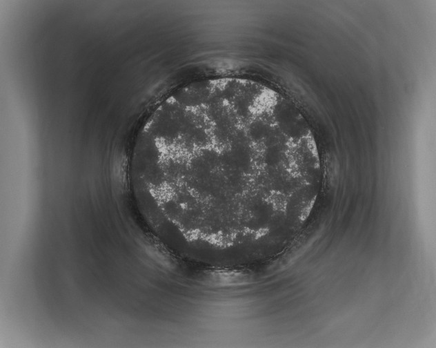X0000111830650200909031514