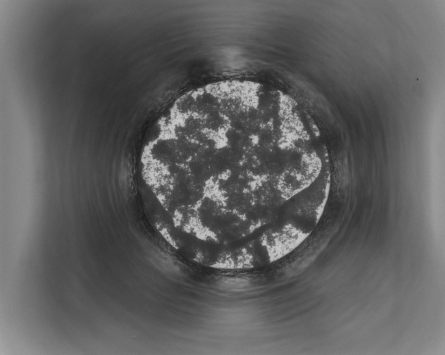X0000111830653200909031514