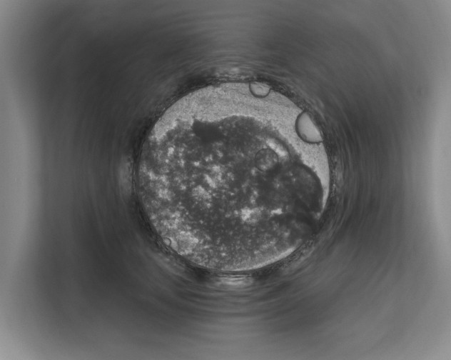 X0000111830659200909031514