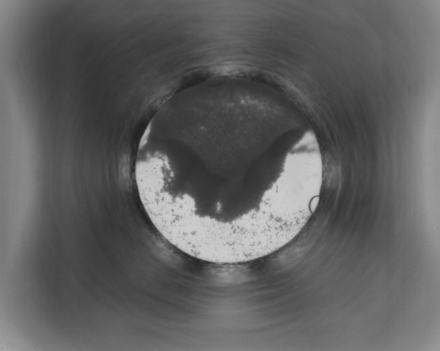X0000111830670200909031514