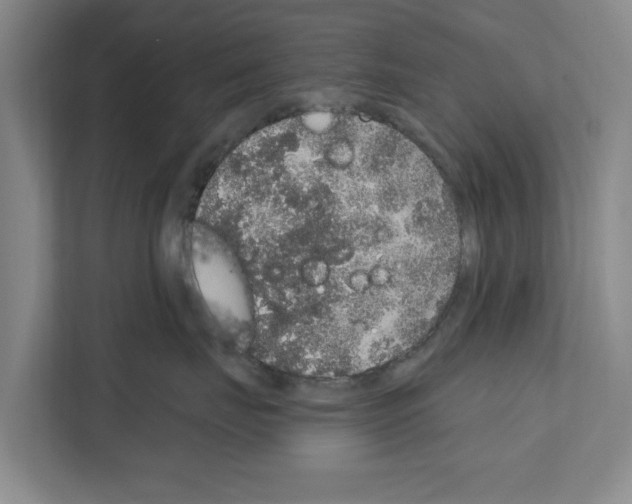 X0000111830671200909031514