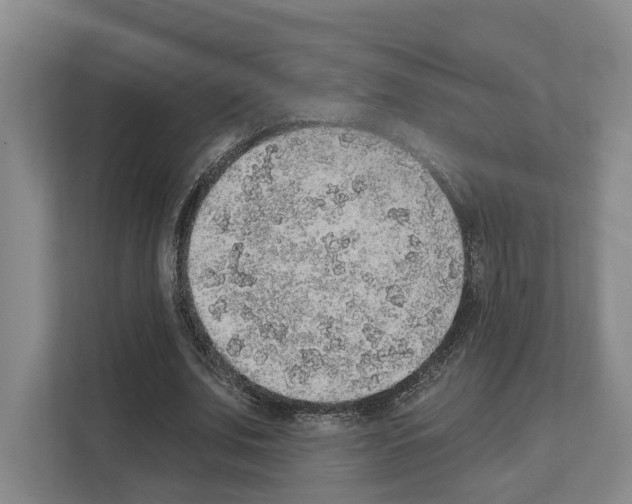 X0000111830679200909031514