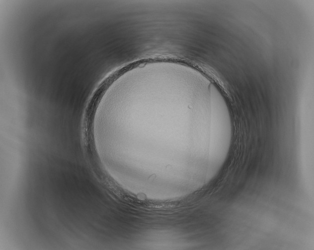 X0000111830680200909031514