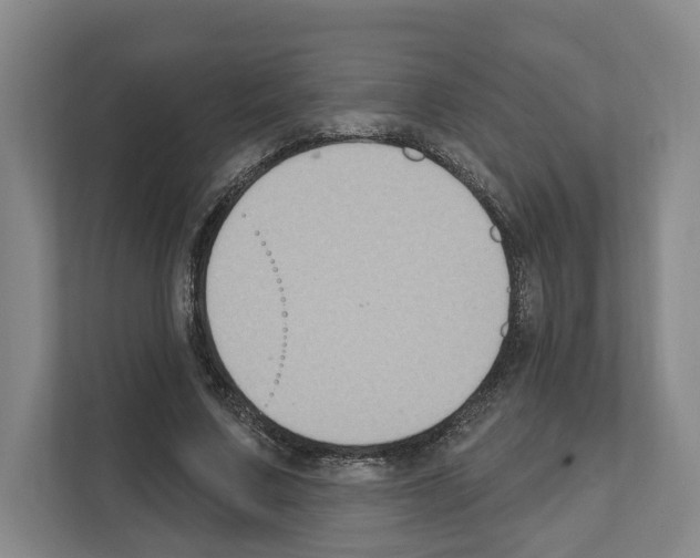 X0000111830683200909031514