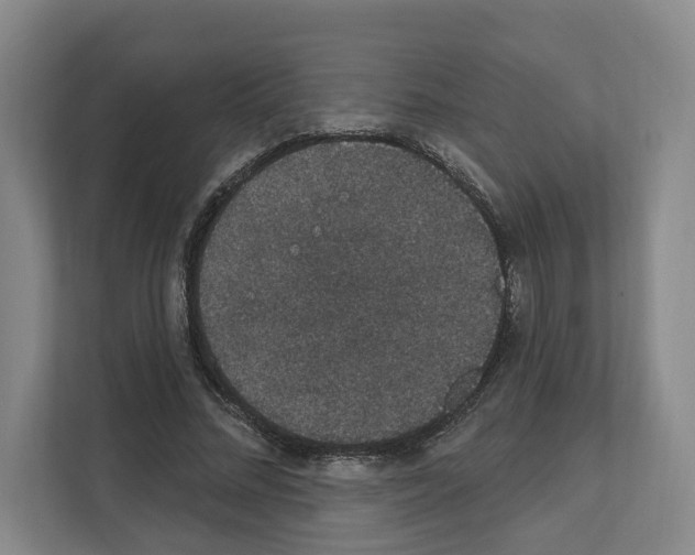 X0000111830684200909031514