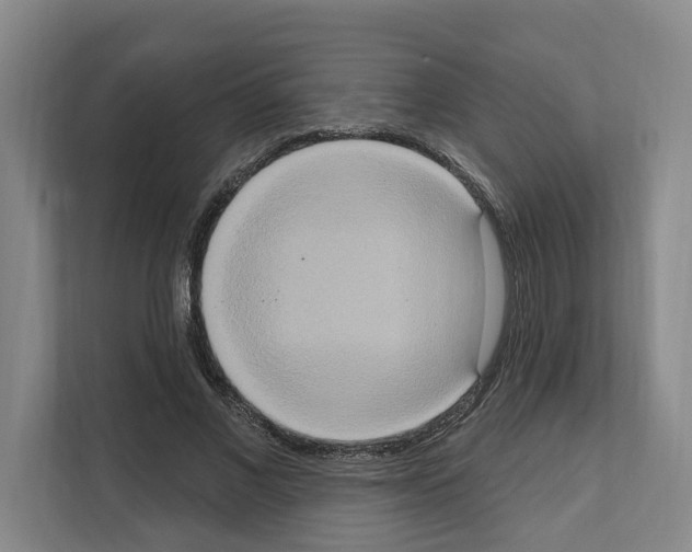 X0000111830685200909031514