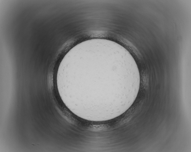 X0000111830686200909031514